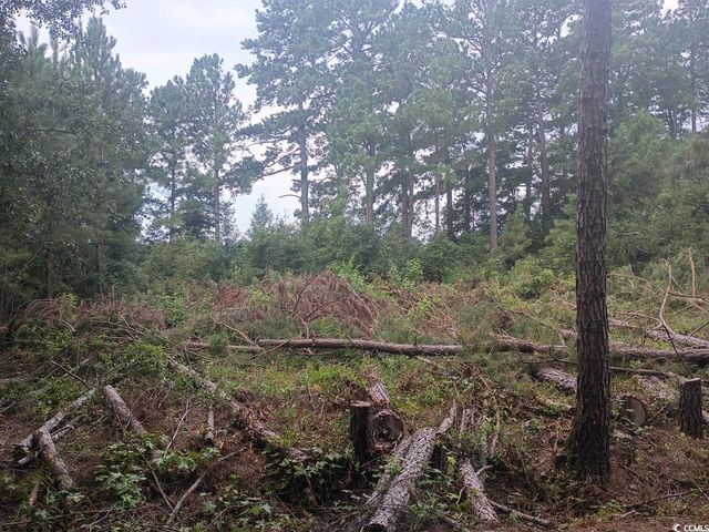 Lot 11-D McGregor St., Lake City, SC 29560