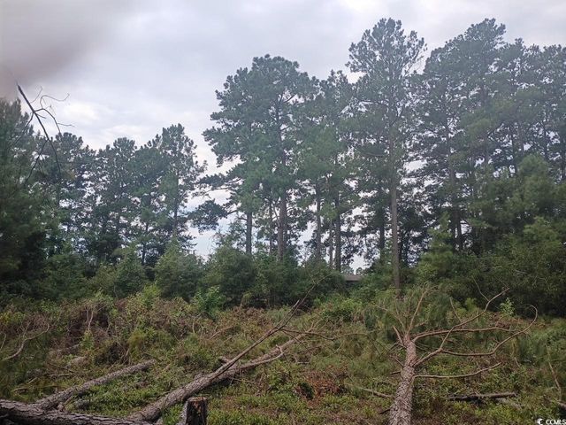 Lot 11-D McGregor St., Lake City, SC 29560