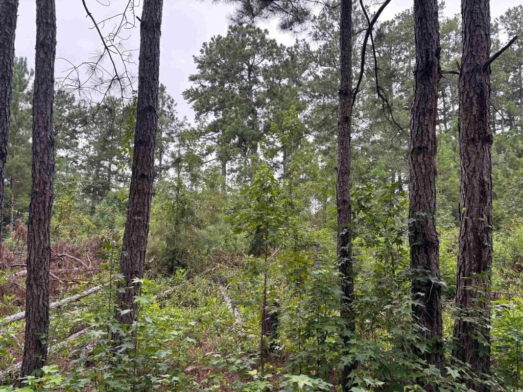Lot 11-D McGregor St., Lake City, SC 29560