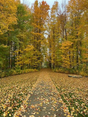 5517 Stanton Woods Drive, Blendon Twp, MI 49426