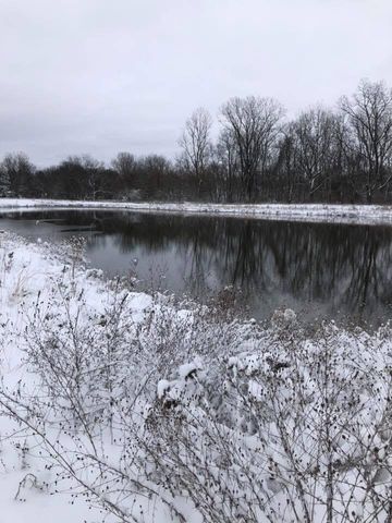 5517 Stanton Woods Drive, Blendon Twp, MI 49426