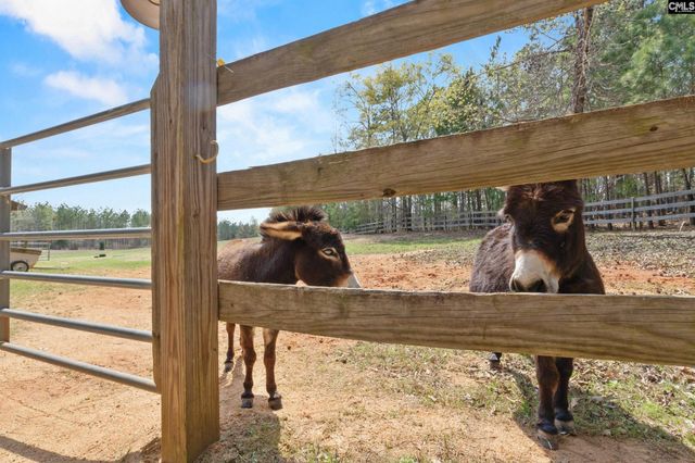 1778 White Road, Camden, SC 29020