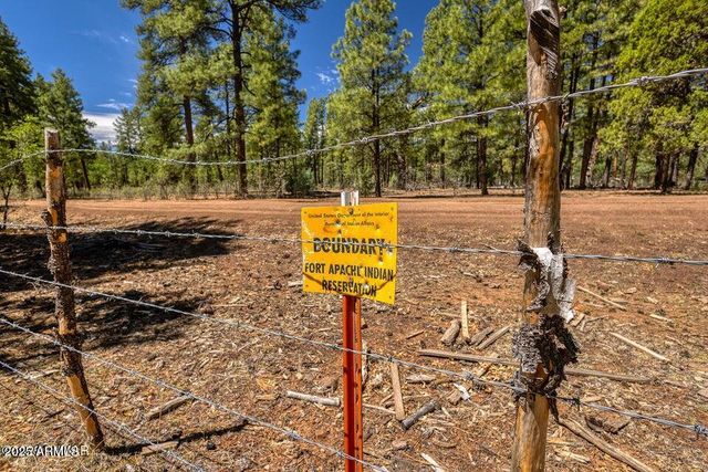 950 COOPER Lane, Lakeside, AZ 85929