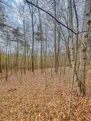 0 Green Meadows, Dahlonega, GA 30533