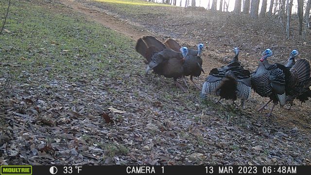 0 Bunker Hill Rd, Linden, TN 37096