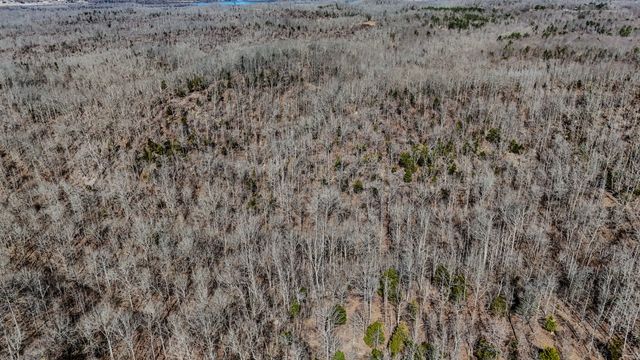 0 Bunker Hill Rd, Linden, TN 37096