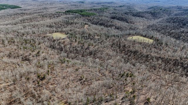 0 Bunker Hill Rd, Linden, TN 37096