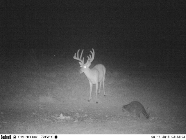 0 Bunker Hill Rd, Linden, TN 37096