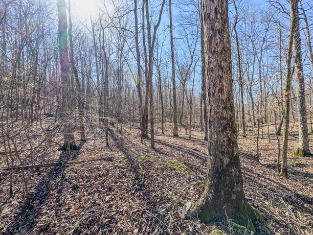 0 Bunker Hill Rd, Linden, TN 37096