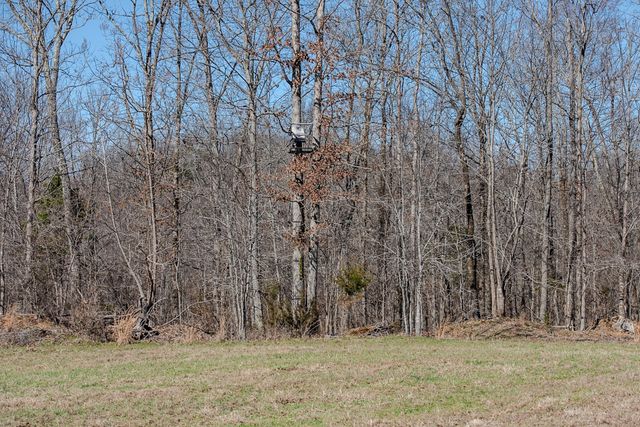 0 Bunker Hill Rd, Linden, TN 37096