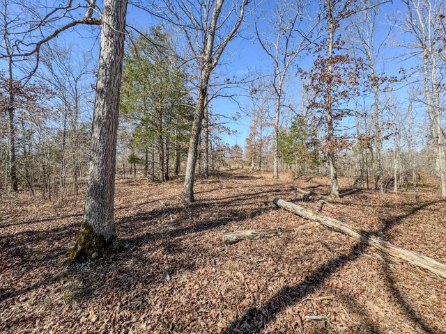 0 Bunker Hill Rd, Linden, TN 37096