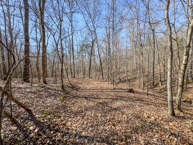 0 Bunker Hill Rd, Linden, TN 37096