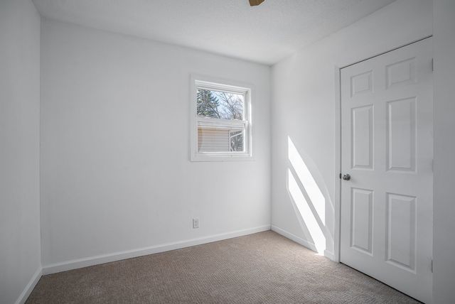 6420 N Ripley Street, Davenport, IA 52806