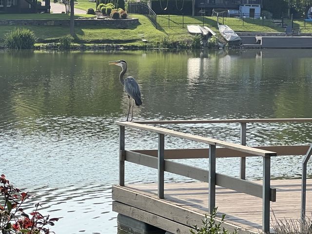 509 Elk Hollow Ct, Franklin, TN 37069