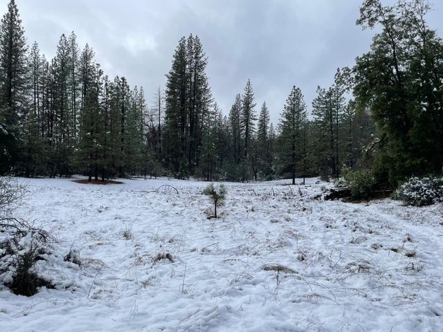 5863 Silver Saddle Dr, Hathaway Pines, CA 95233