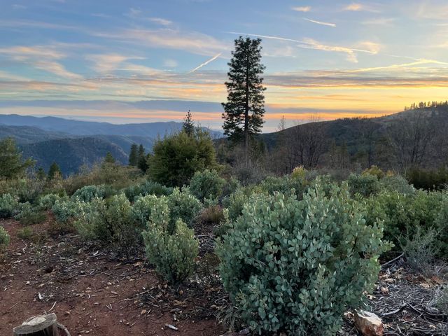 5863 Silver Saddle Dr, Hathaway Pines, CA 95233