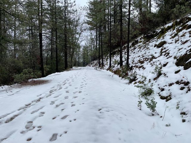 5863 Silver Saddle Dr, Hathaway Pines, CA 95233