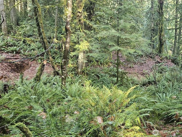 3519 130th Street NW, Gig Harbor, WA 98332