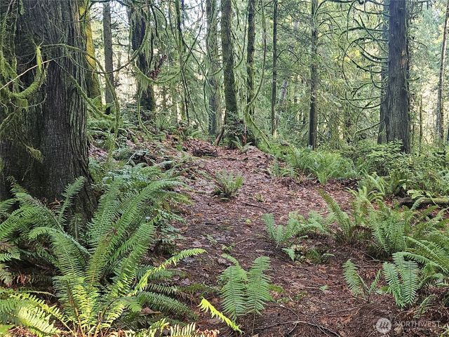 3519 130th Street NW, Gig Harbor, WA 98332