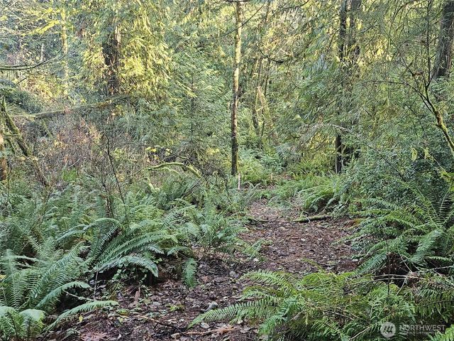 3519 130th Street NW, Gig Harbor, WA 98332