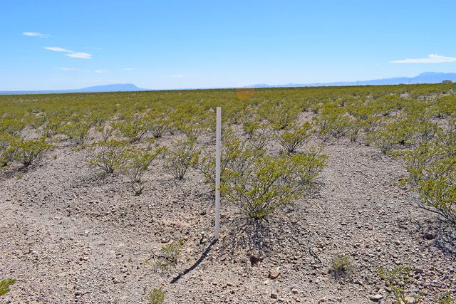 Lot 7 Quail Run Drive, San Antonio, NM 87832