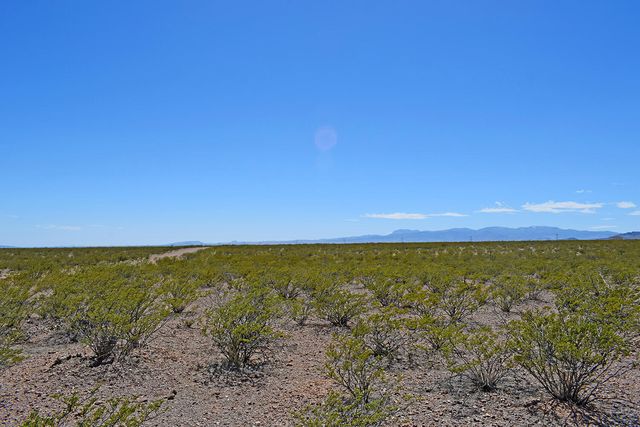 Lot 7 Quail Run Drive, San Antonio, NM 87832
