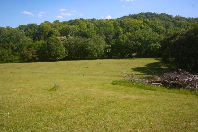 0 Harpeth Peytonsville Rd, Thompsons Station, TN 37179