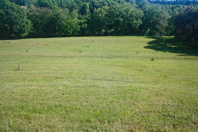 0 Harpeth Peytonsville Rd, Thompsons Station, TN 37179