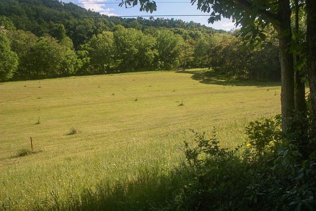 0 Harpeth Peytonsville Rd, Thompsons Station, TN 37179