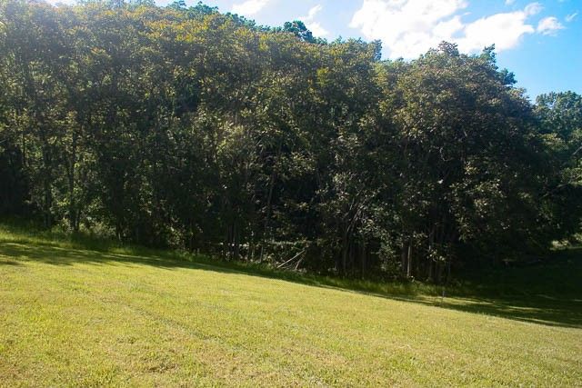 0 Harpeth Peytonsville Rd, Thompsons Station, TN 37179