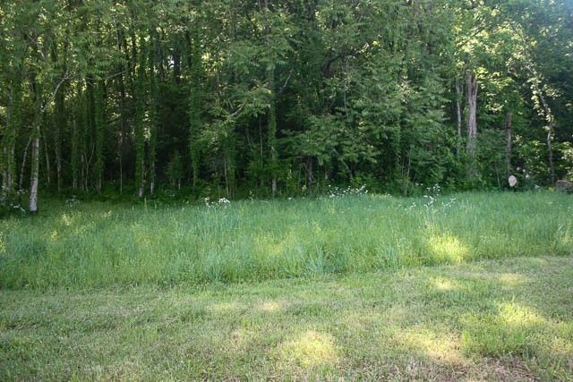 0 Harpeth Peytonsville Rd, Thompsons Station, TN 37179