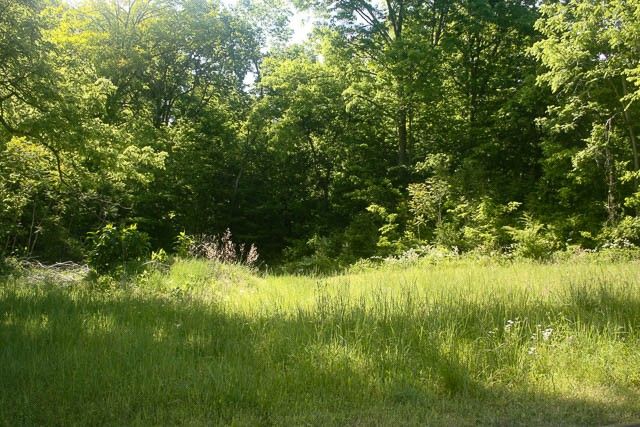 0 Harpeth Peytonsville Rd, Thompsons Station, TN 37179