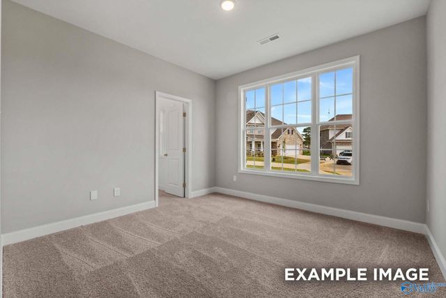 219 White Horse Way, Toney, AL 35773