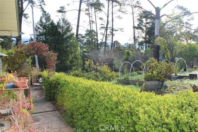 1909 Pineridge, Cambria, CA 93428