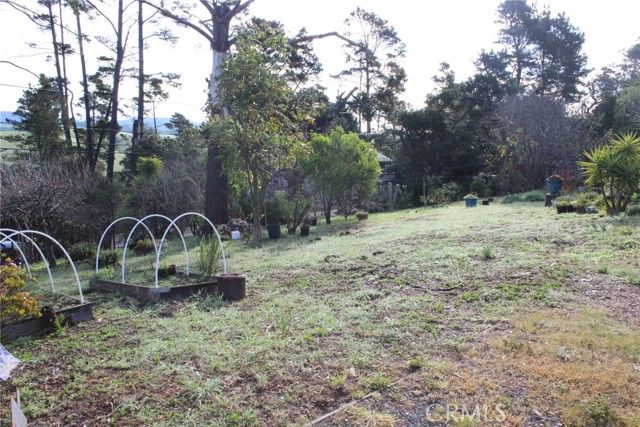 1909 Pineridge, Cambria, CA 93428