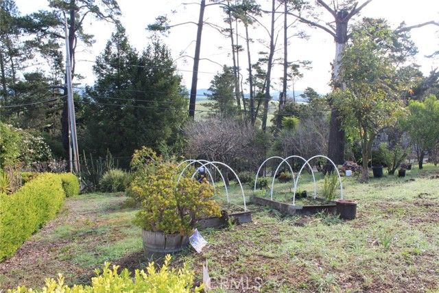 1909 Pineridge, Cambria, CA 93428