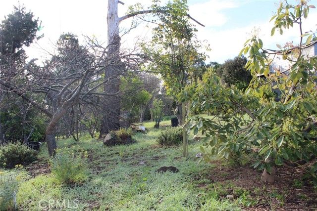 1909 Pineridge, Cambria, CA 93428