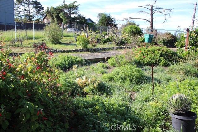 1909 Pineridge, Cambria, CA 93428