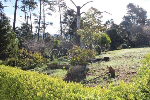 1909 Pineridge, Cambria, CA 93428