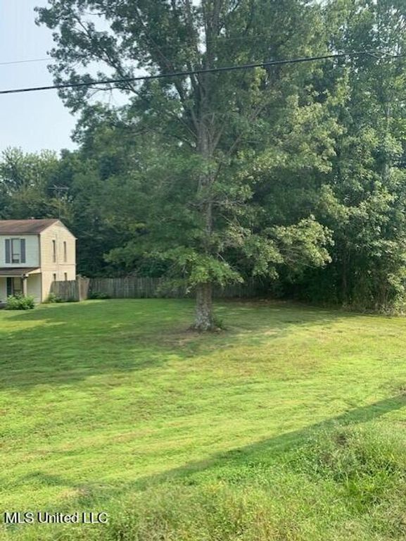 3049 Pleasant Hill Road, Nesbit, MS 38651 — photo 2