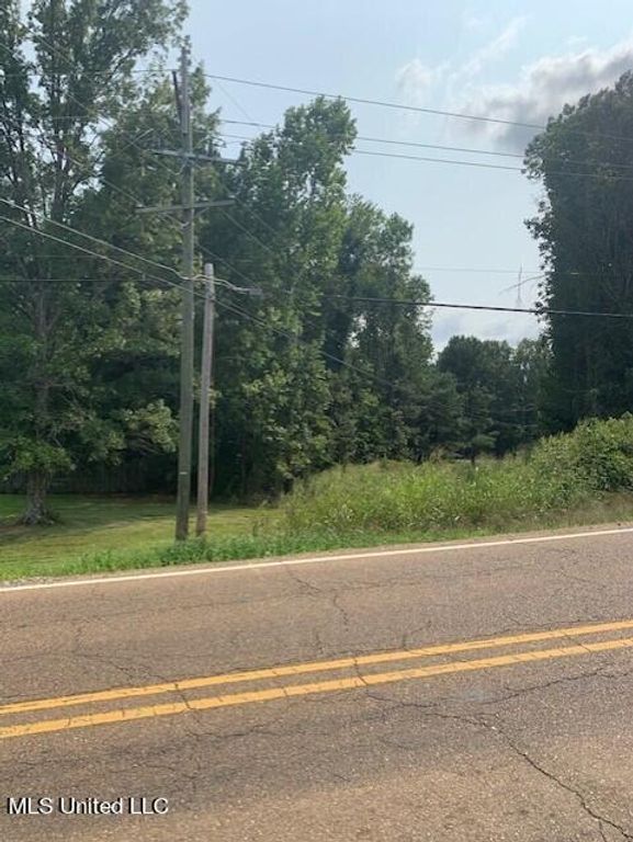 3049 Pleasant Hill Road, Nesbit, MS 38651 — photo 4