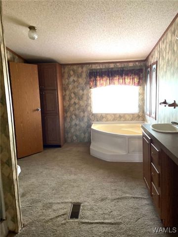 2258 Co Rd 106, Fayette, AL 35555