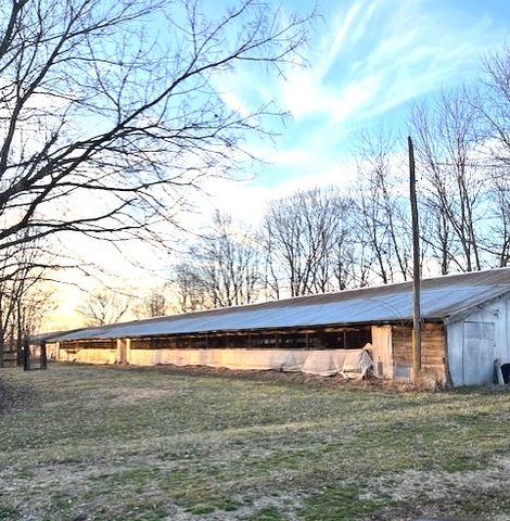 10593 Viney Grove Road, Prairie Grove, AR 72753