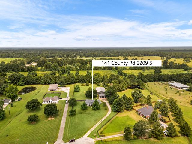 141 County Road 2209 S, Cleveland, TX 77327
