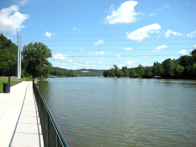 10202 Branson Landing Boulevard 202, Branson, MO 65616