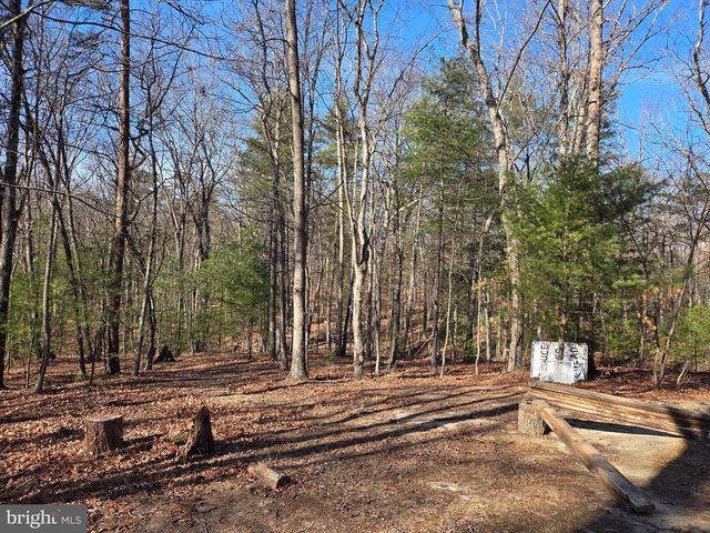 2034 JEROME RD, Mount Jackson, VA 22842