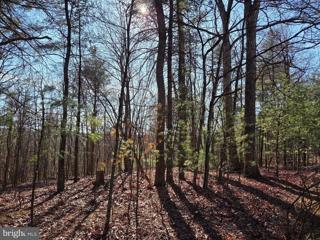 2034 JEROME RD, Mount Jackson, VA 22842