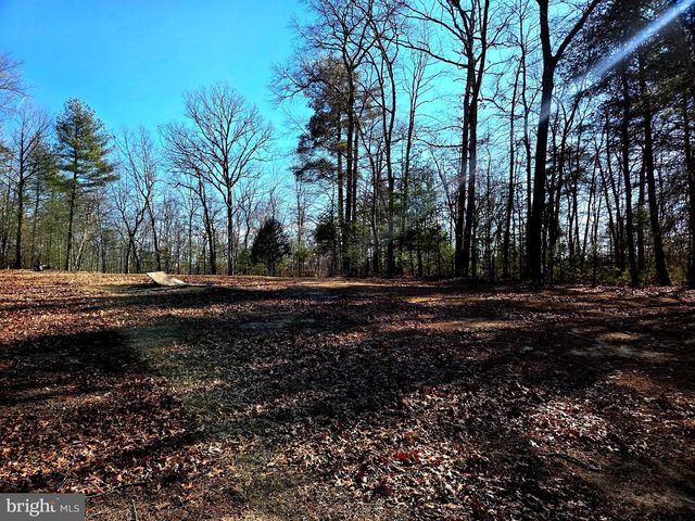 2034 JEROME RD, Mount Jackson, VA 22842