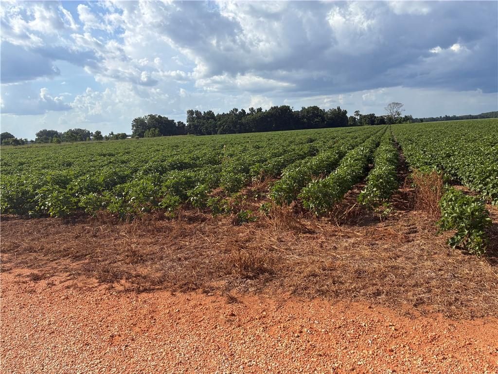 0 Davis Pond Road, Atmore, AL 36502 — photo 2