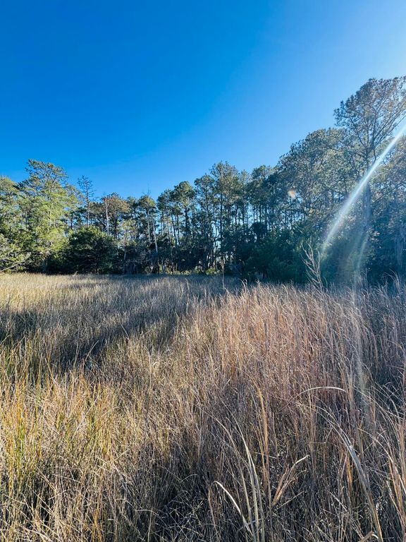 Image 10 of property listing at 0 Rosa Scott Road, Edisto Island, SC 29438